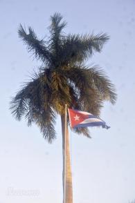 Cuba Libre, Palma Real y la Bandera Cubana. Cuba Libre, Palma Real y la Bandera Cubana.
