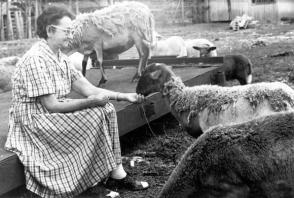 Lina Ruz en su casa de Birán, en 1958. Fuente: Oficina de Asuntos Históricos del Consejo de Estado. Lina Ruz en su casa de Birán, en 1958. Fuente: Oficina de Asuntos Históricos del Consejo de Estado.