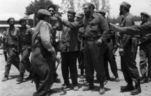 Fidel dialoga con los milicianos e imparte las órdenes de combate en Playa Girón, el 17 de abril de 1961. Foto: Sitio Fidel Soldado de las Ideas. Fidel dialoga con los milicianos e imparte las órdenes de combate en Playa Girón, el 17 de abril de 1961. Foto: Sitio Fidel Soldado de las Ideas.